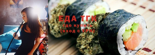 гидра Богородск