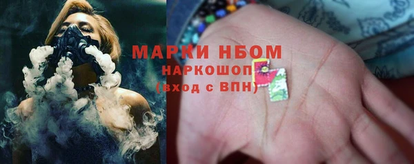 прущий лед Богданович