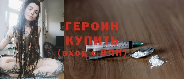 гидра Богородск