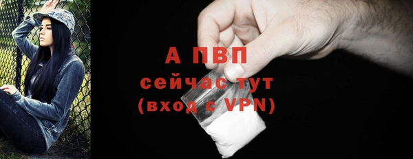 прущий лед Богданович