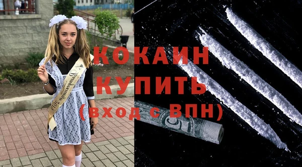 гидра Богородск