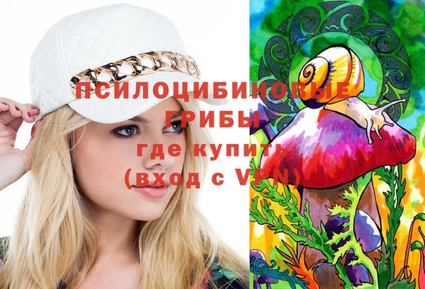 прущий лед Богородицк