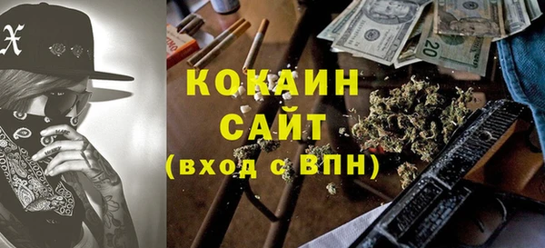 гидра Богородск