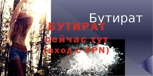 гидра Богородск
