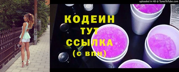 прущий лед Богданович