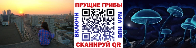 Псилоцибиновые грибы Magic Shrooms Дзержинский